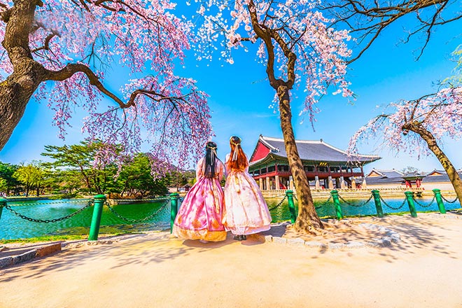 DU LỊCH HÀN QUỐC DỄ ĐẬU VISA TOUR 5N4Đ MÙA XUÂN 2025 NGẮM HOA ANH ĐÀO BỪNG SẮC THẮM CAM KẾT GIÁ RẺ NHẤT HOÀN FULL TIỀN CỌC CHO KHÁCH HÀNG ĐẶT TRƯỚC 30 NGÀY TOUR TỪ HÀ NỘI- TP. HCM SEOUL ĐẢO NAMI EVERLAND NAMSAN 
