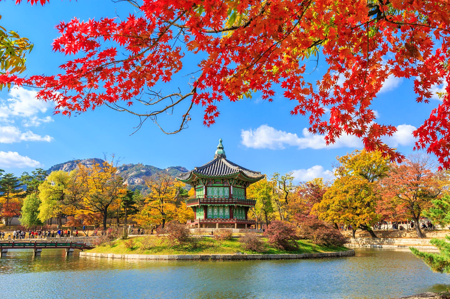 DU LỊCH HÀN QUỐC DỄ ĐẬU VISA TOUR 5N4Đ MÙA XUÂN 2025 NGẮM HOA ANH ĐÀO BỪNG SẮC THẮM CAM KẾT GIÁ RẺ NHẤT HOÀN FULL TIỀN CỌC CHO KHÁCH HÀNG ĐẶT TRƯỚC 30 NGÀY TOUR TỪ HÀ NỘI- TP. HCM SEOUL ĐẢO NAMI EVERLAND NAMSAN 